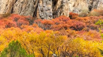 “Foto Kültür” Kursu Kapsamında Fotoğrafçılar Darende İlçesini Fotoğrafladı